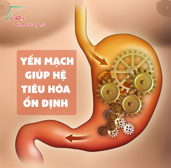 Công dụng của bột yến mạch